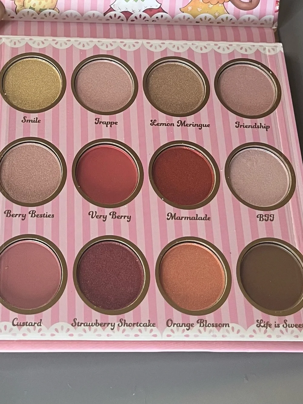 Strawberry Shortcake Eyeshadow Palette - 12 Shade Women Makeup- NIB